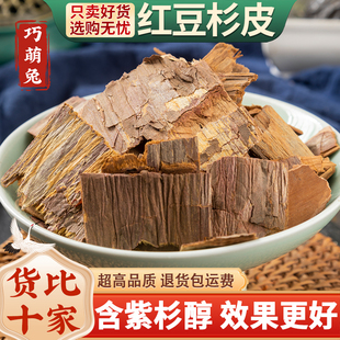 红豆杉皮中药材500g正宗特级新货红豆杉老树皮富含紫杉醇泡水煮茶