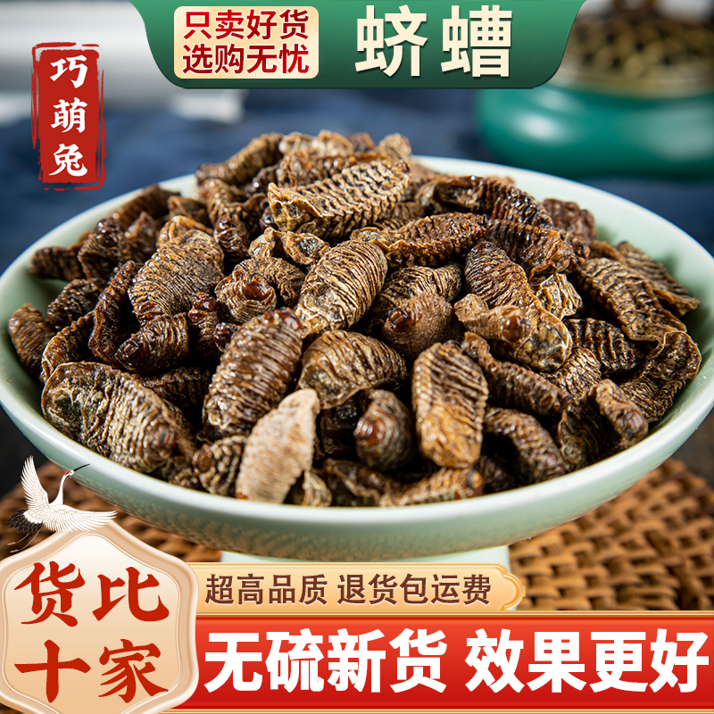 蛴螬中药材500克 粪虫 地蚕 核桃虫 应条 乳齐 老母虫 新货无异味