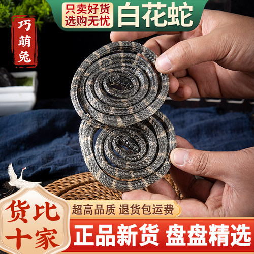 白花蛇中药材 金钱白花蛇 银环蛇大白花蛇中药白花蛇泡酒整条包邮