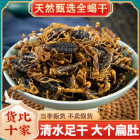 沂蒙十足全干全蝎中藥材全蝎無(wú)鹽清水蝎子全蟲(chóng)蝎子包郵干度可打粉