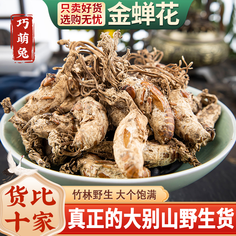 金蝉花野生500g精选蝉花虫草孢子粉中药材金婵花金蚕花知了花禅花