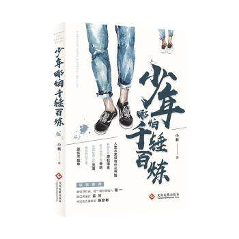 正版包邮 少年哪怕千锤百炼 小新著 9787514235302 文化发展出版社