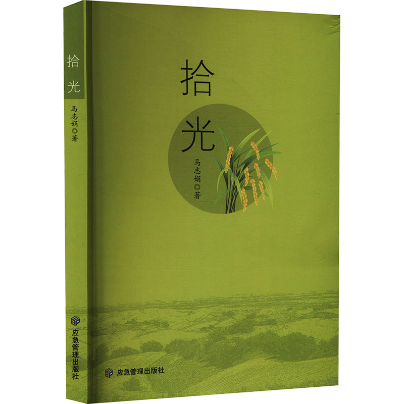 拾光 成长故事集 青春回忆录 人生感悟集 治愈心灵瞬间 温暖生活美学 诗意生活指南 生活记录手册9787523706121
