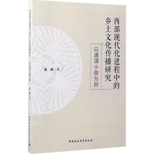 正版包邮 西部现代化进程中的乡土文化传播研究 姜鹏著 9787516195291 中国社会科学出版社