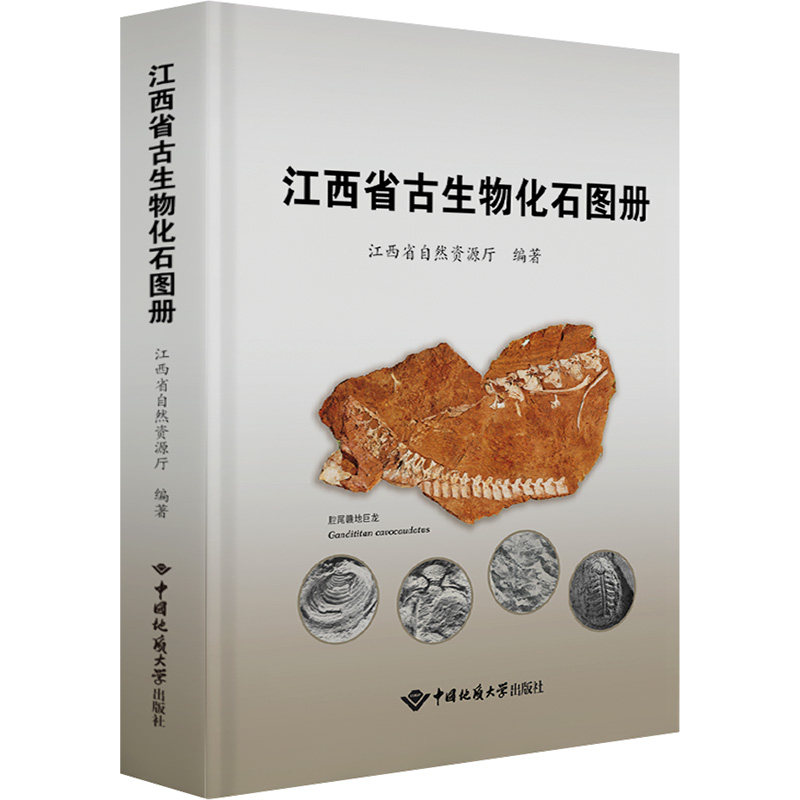 江西省古生物化石图册 小学生课外读物 家长科普启蒙 精美插图 解读 知识启蒙 ISBN9787562559306