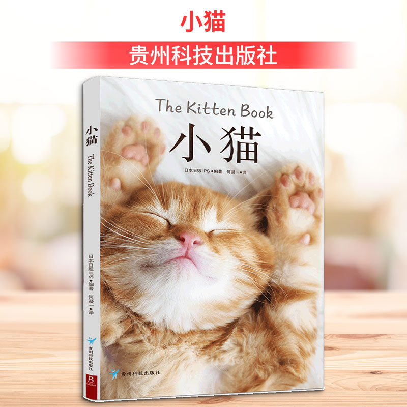 小猫 萌猫插画绘本 子读故事 睡前治愈读物 动物认知启蒙 猫咪手绘教程 儿童趣味读物 萌宠绘画教材 9787553209760