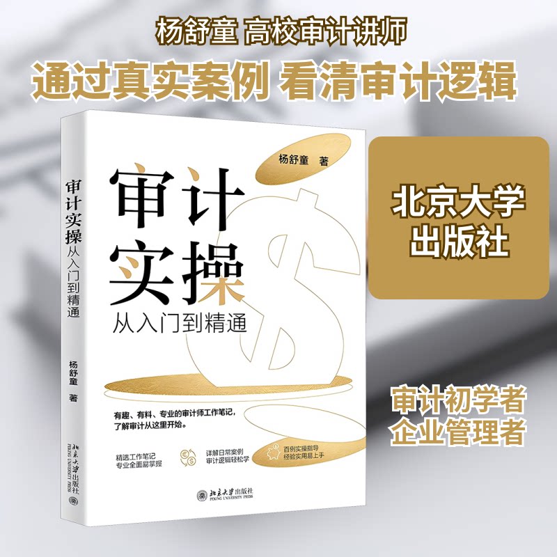 审计实操从入门到精通 职场新人 审计新手入门 实战技巧详解 案例分析大全 系统教程指南9787301355770