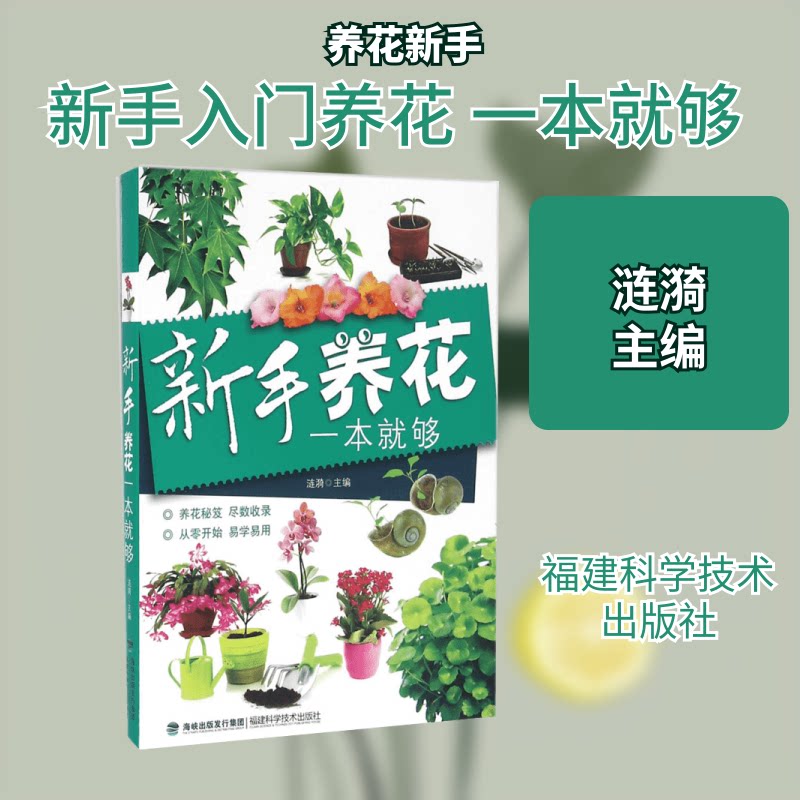 新手养花一本就够 新手养花教程 零基础入门 全彩图解版 植物养护指南 一本就够 家庭园艺书 养花技巧大全 9787533549305