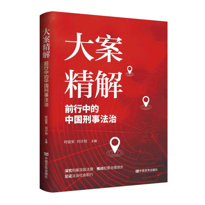 大案精解 法律案例解析 经典大案详解 司法实务指南 律师参考用书 案例分析技巧 法律文书模板 司法 9787517151890