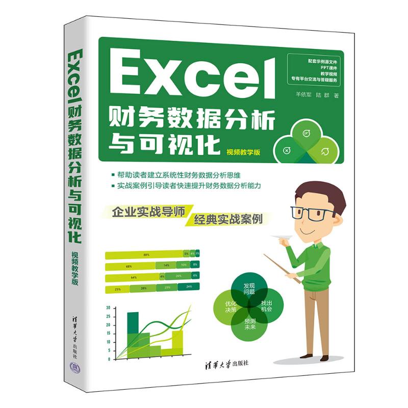 正版包邮 Excel财务数据分析与可视化 视频教学版 羊依军 陆群 9787302661054 清华大学出版社