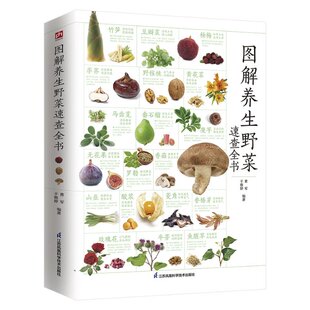 曹军 图解养生野菜速查全书 于雅婷编著 9787571325466 社 正版 江苏凤凰科学技术出版 包邮