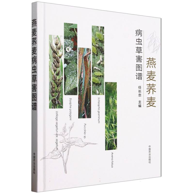 燕麦荞麦病虫草害图谱 高清图谱识别 病虫草害防治 种植户手册 农业技术参考 ISBN9787109329140