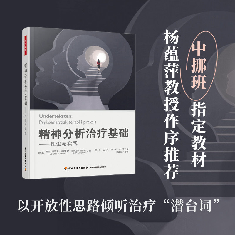 精神分析治疗基础理论与实践 理论深度 临床实践 经典案例 专业体系 实操指南 系统讲解 实用技巧9787518443574