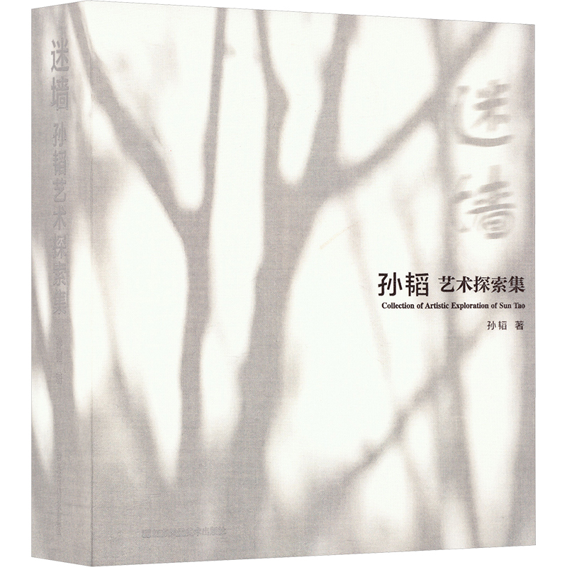 迷墙 孙韬艺术探索集 孙韬艺术作品 全彩印刷 艺术启蒙书籍 家长送礼收藏 ISBN9787574123250