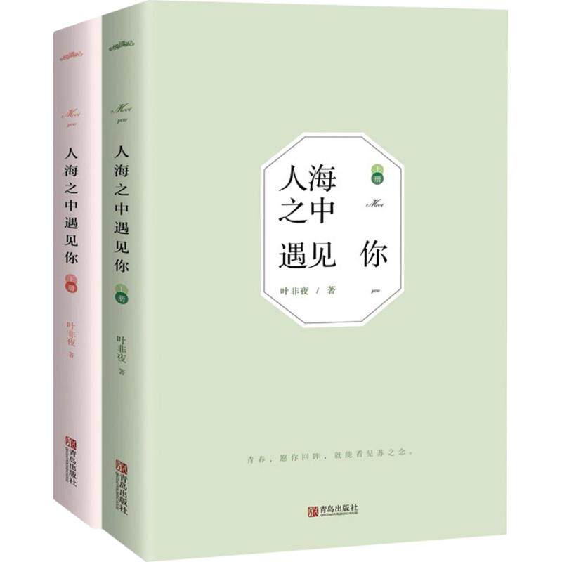 人海之中遇见你 人海相遇故事 情感治愈之作 缘分命中注定 温暖爱情篇章 都市情感小说 细腻情感描写 心灵共鸣之作 9787555252818