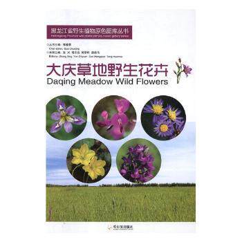大庆草地野生花卉 本植物鉴学生课外自然科普 精美图文 机构编写 9787548438465