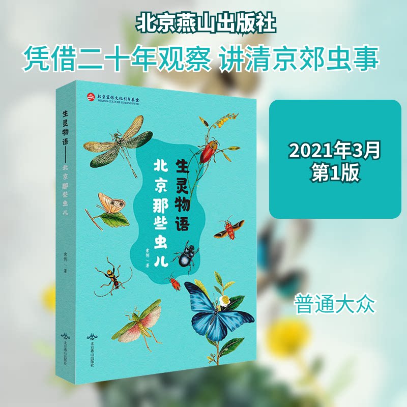 生灵物语 北京那些虫儿 北京虫儿图鉴 生灵物语科普 昆虫故事集 自然观察日记 北京地域昆虫 虫类知识解析 9787540259051