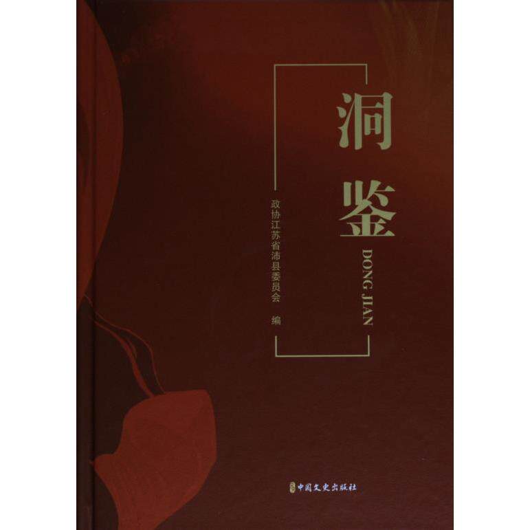 正版包邮 洞鉴 政协江苏省沛县委员会 编 9787520534239 中国文史出版社
