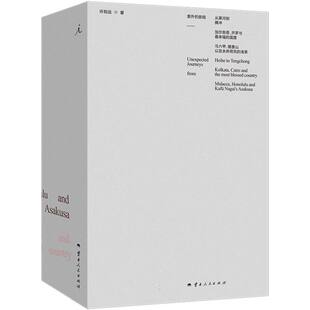 正版包邮 意外的旅程 许知远|责编:金学丽 9787222226012 云南人民