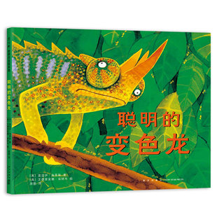变色龙 英 新星出版 包邮 社 9787513343619 聪明 著 正版 莫温伊·海蒂斯