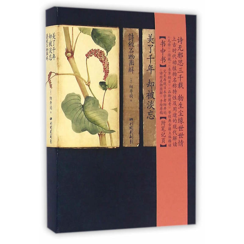 正版包邮 美了千年,却被淡忘:诗经名物图解 (日)细井徇 9787514613209 中国画报出版社