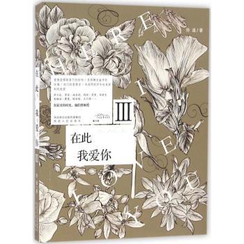 在此,我爱你 情感治愈散文 爱情感悟随笔 当下生活表达 温暖文字集 心灵慰藉读物 亲密关系指南 诗意爱情故事 9787224118902