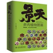二木 景天多肉植物图鉴 张秋涵著 9787517074045 社 正版 中国水利水电出版 包邮