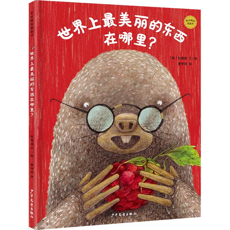 美丽的东西在哪里 全彩精美插图 美学深度解读 哲学思考 经典案例 提升审美 心灵治愈 自然人文之美9787558914997