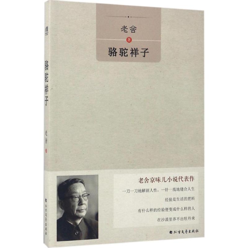 骆驼祥子 老舍代表作 经典文学名著 祥子悲惨命运 人力车夫故事 社会现实批判 文学启蒙读物 时代背景还原 9787531738244