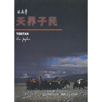 正版包邮 天界子民 林晶华 9787536220607 岭南美术出版社