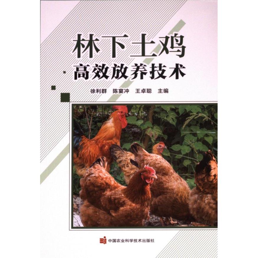 林下土鸡放养技术 养殖新手实操教程 专家指导 生态散养 提高成活率 含养殖手册 9787511666529