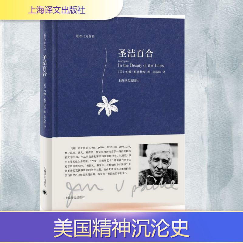 圣洁百合 艺术从业者 花艺爱好者 提升审美 经典案例 文化解读 实用技巧 园艺指南 美学提升 花艺技巧9787532775255