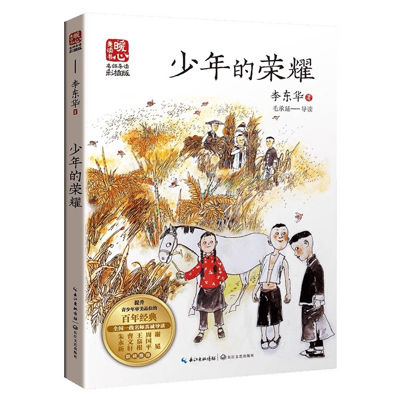 少年的荣耀 少年荣耀故事 青春奋斗篇章 成长励志指南 梦想实现之路 热血青春历程 少年励志传奇 青春成长故事 9787570226900