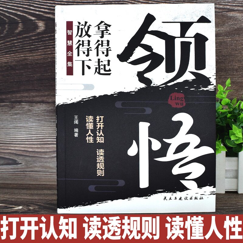 正版包邮 领悟-拿得起放得下智慧全集人生成功励志思考深入解析 王阔 9787513900393 民主与建设出版社