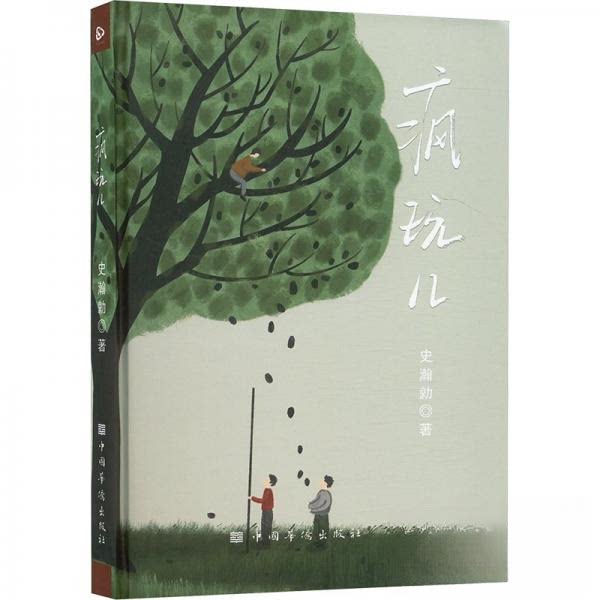 疯玩儿 亲子互动 家庭娱乐 儿童启蒙 手工创意 益智思维 实用指南 全彩插图 精美设计 趣味游戏9787511388810