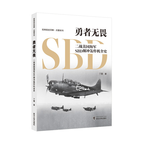 正版包邮 勇者无畏 丁雷著 9787307245990 武汉大学出版社