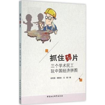 正版包邮 抓住碎片:三个学术民工玩中国经济拼图 徐奇渊,杨盼盼,冯蕾著 9787516175804 中国社会科学出版社