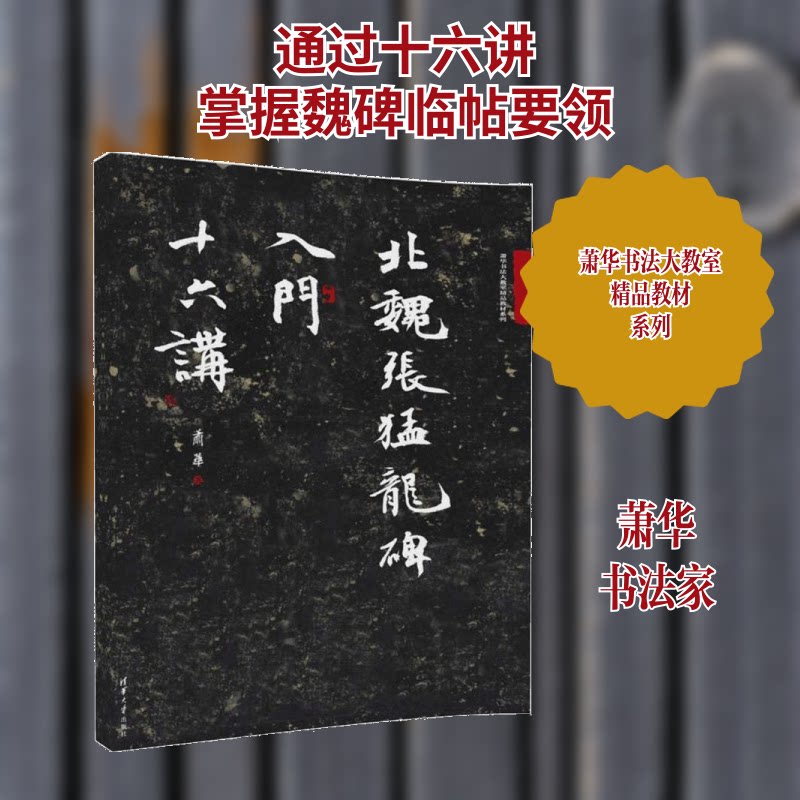 北魏张猛龙碑入门十六讲 北魏张猛龙碑 入门教程 十六讲系统 笔法详解 结构分析 书法基础 临摹指导 碑帖解析 9787302488910