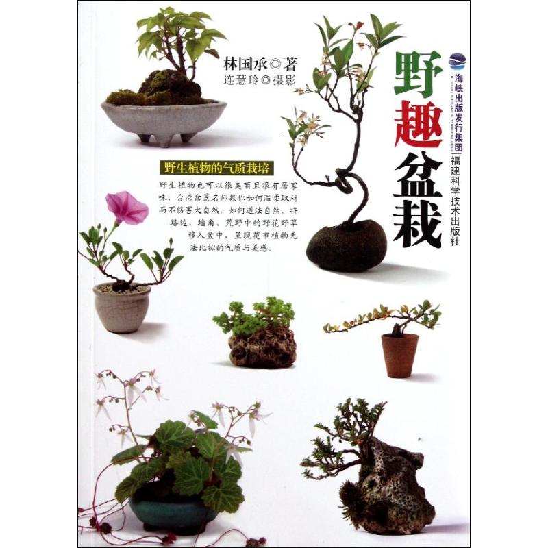 正版包邮 野趣盆栽 林国承 9787533538453 福建科学技术出版社