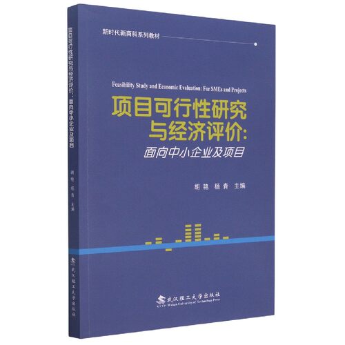 项目可行研究与经济评价--面向中小企业及项目 中小企业适用 经济评价方法 可行分析 实操案例 指导9787562963776