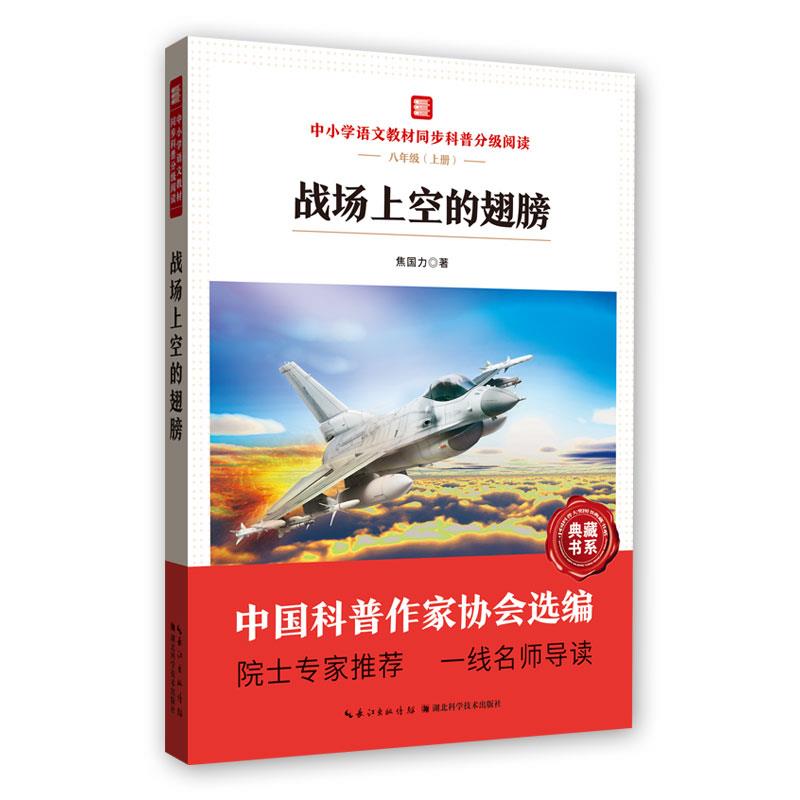 战场上空的翅膀 战场故事 翅膀意象 战争史诗 飞行传奇 空战纪实 航空历史 英雄事迹 人光辉 9787570614141