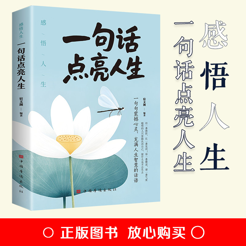 正版包邮 感悟人生--一句话点亮人生受益一生的经典 一句顶万句 名人名言一句话点亮人生 宿文渊 9787511367167 中国华侨出版社