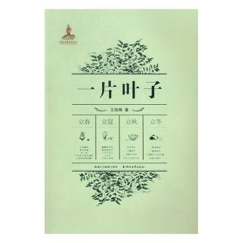 一片叶子 小学生植物科普启蒙书 自然观察指南 手绘植物图鉴 自然教育专家著 ISBN9787533946579