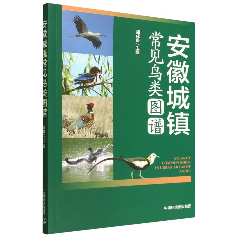 安徽城镇常见鸟类图谱 安徽本地鸟类识别指南 精美彩图 亲子科普书 学生课外读物 实用观鸟手册 9787511162670