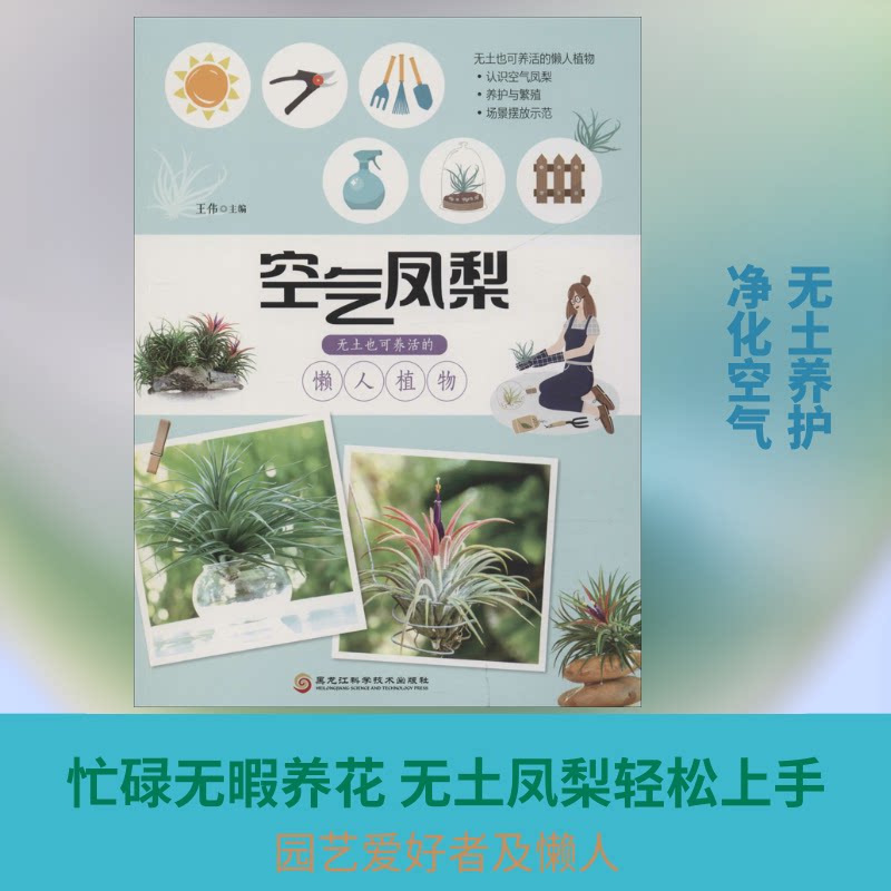 正版包邮 空气凤梨 无土也可养活的懒人植物 王伟 著 王伟 编 9787538898996 黑龙江科学技术出版社