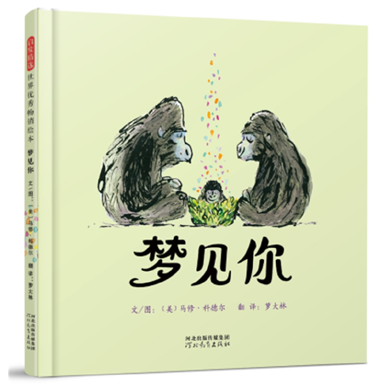 梦见你 爱情故事小说 梦境情感共鸣 温柔治愈散文 深夜读物 都市爱情故事 情感表达指南 心灵疗愈书籍 9787554546215