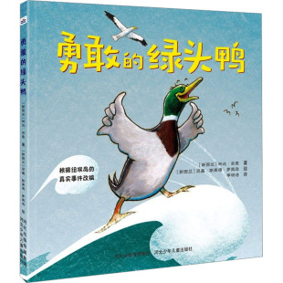 尼基·斯莱德·罗宾逊 包邮 林达·芬恩 正版 绘 译 绿头鸭 李明浩 勇敢 9787559578914 新西兰 著 著;