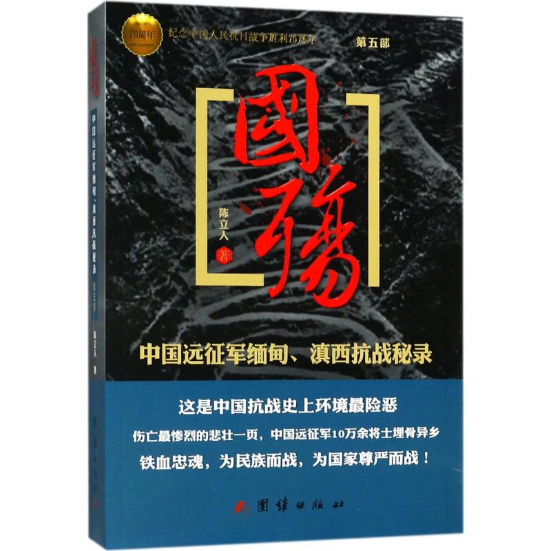正版包邮 国殇：中国远征军缅甸滇西抗战秘录（D5部） 陈立人 9787512614079 团结出版社