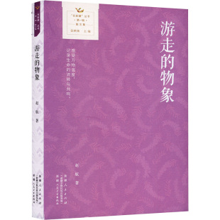 物象 游走 赵航著 9787228214068 社 正版 新疆人民出版 包邮