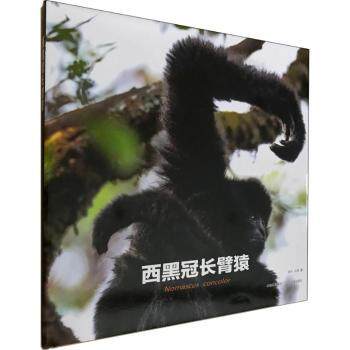 正版包邮 西黑冠长臂猿 润宁，山岚著 9787548927839 云南美术出版社
